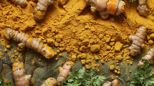 Turmeric Extract
